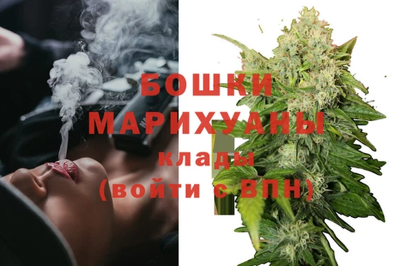PSILOCYBIN Новозыбков