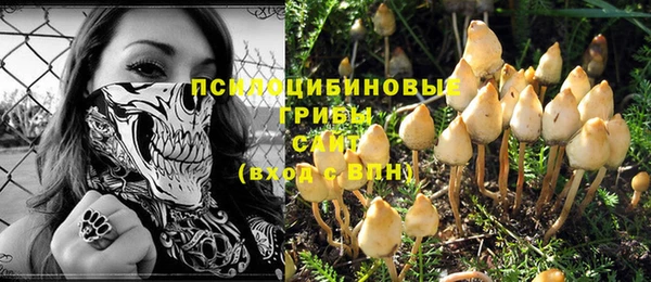 амфетамин Новодвинск