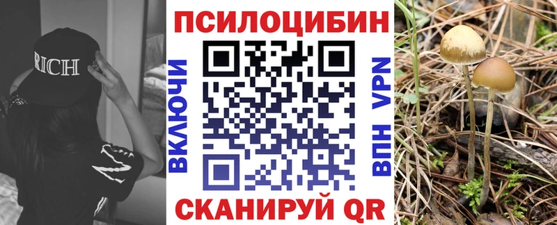 Псилоцибиновые грибы мицелий  Собинка 